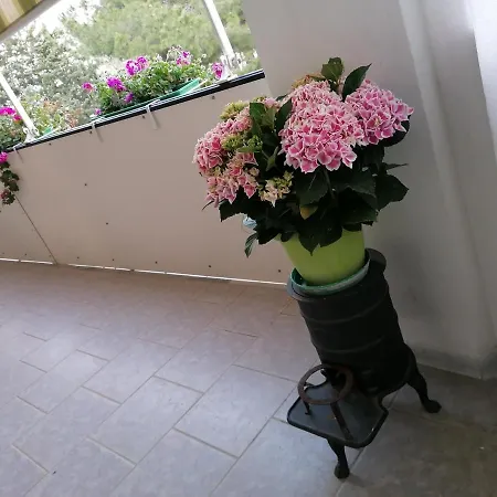 Casa Vacanze Kate דירה Scanzano Jonico